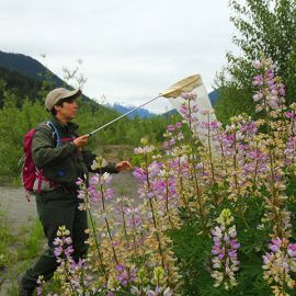 Time to BioBlitz